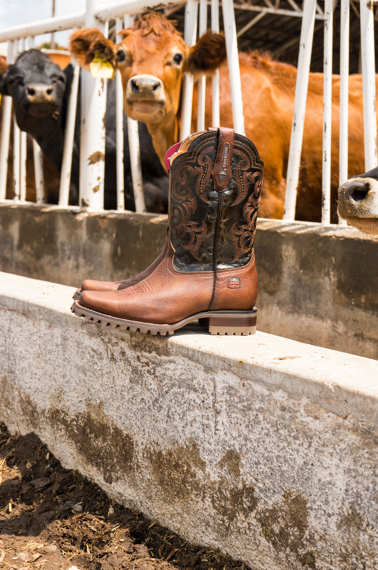 Guia Completa para Botas de Trabajo