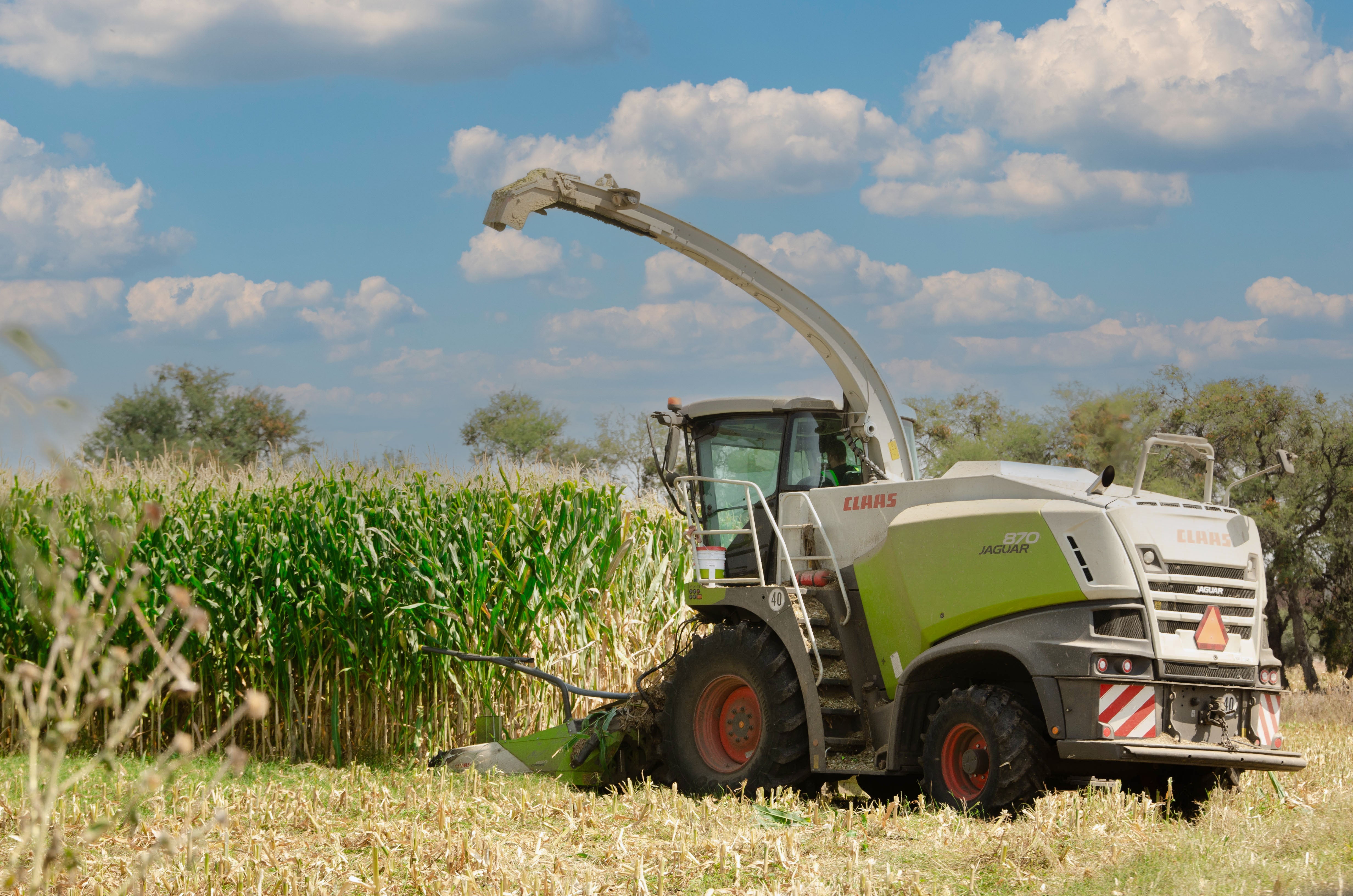Botas para Agricultura