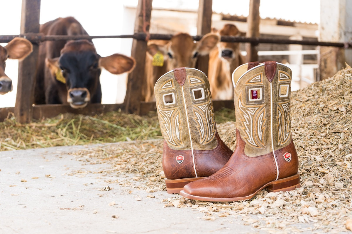 Botas para ganadería.